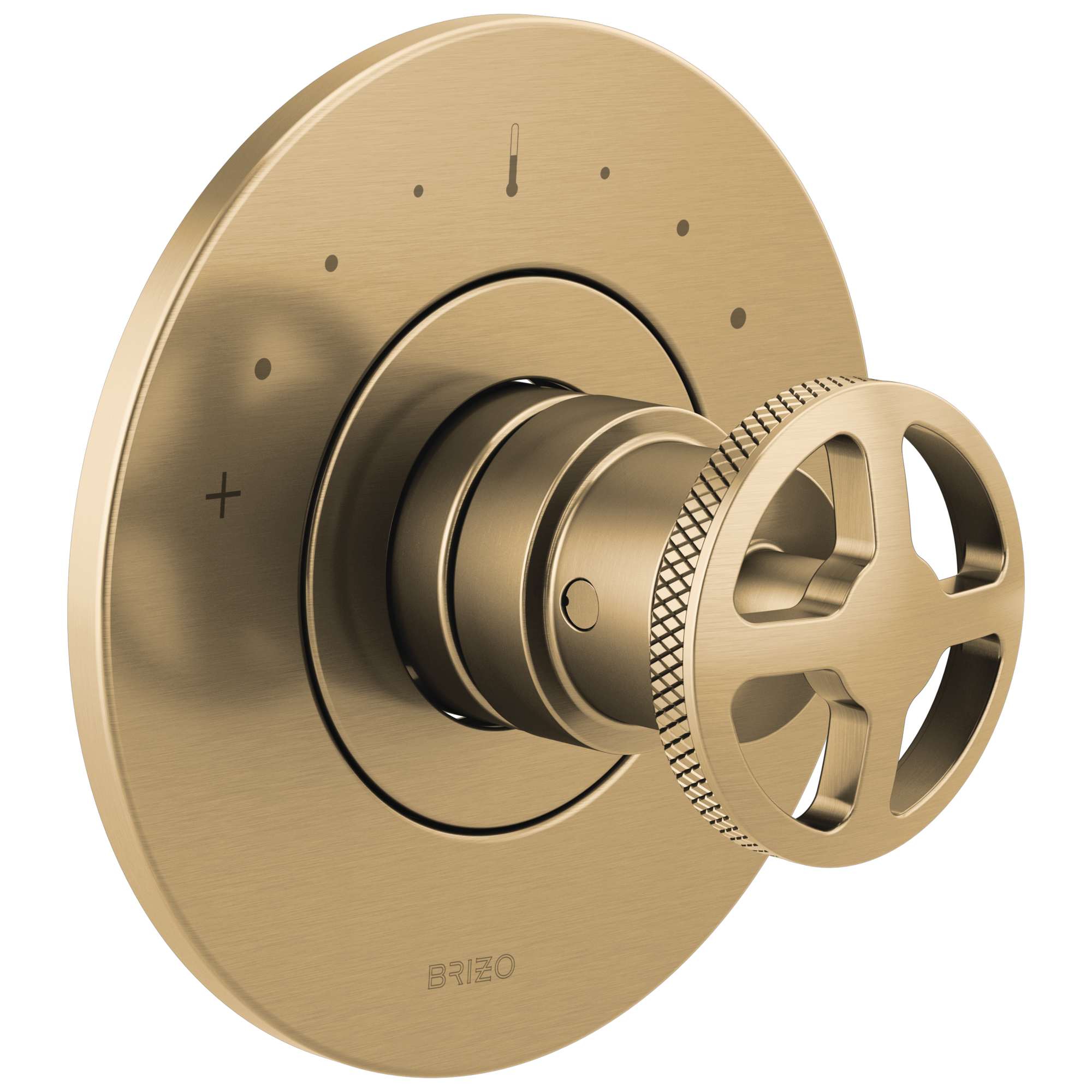 リゾット Townsteel TRX-L Cylindrical Storeroom Lock With Ligature Resistant
