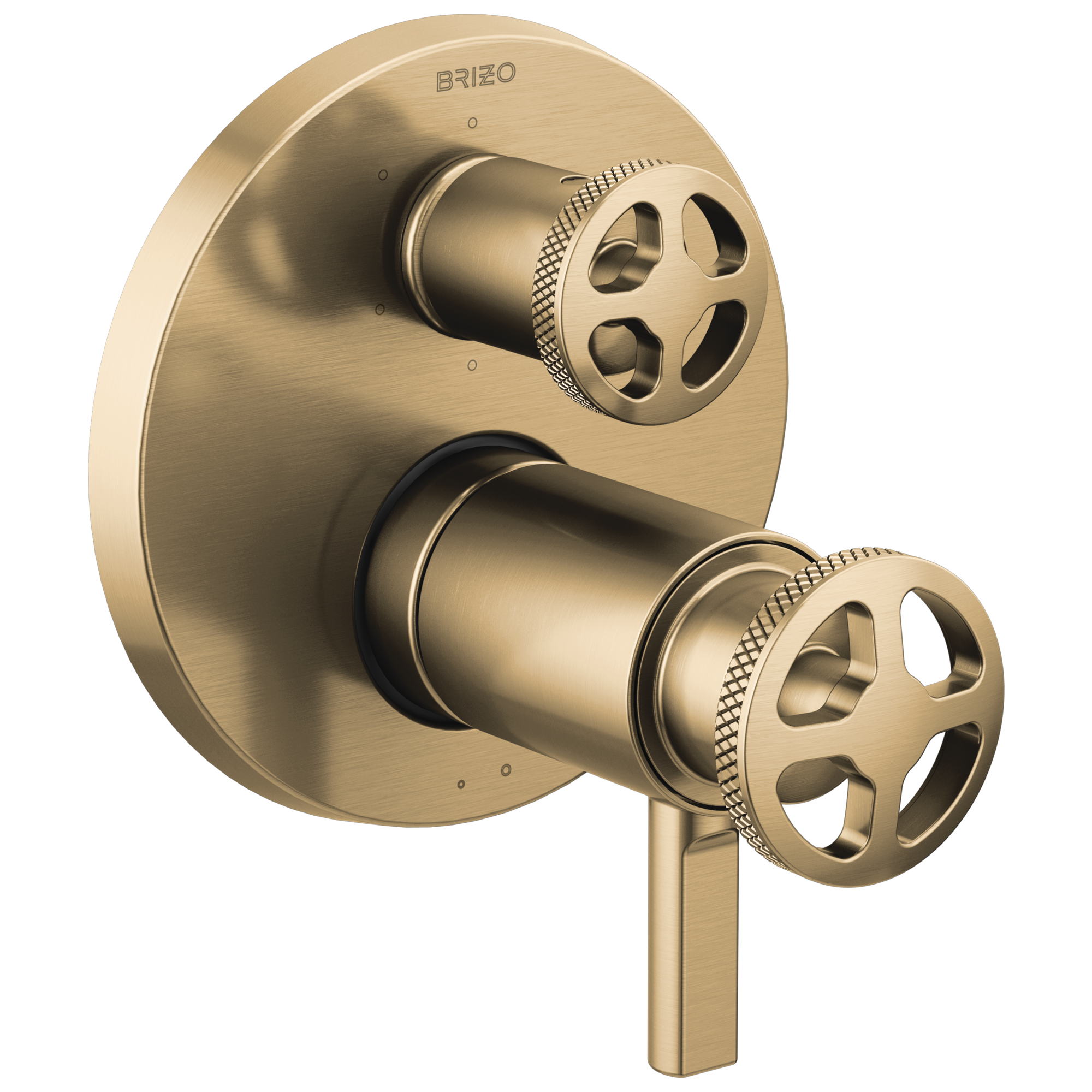 Litze® | TempAssure® Thermostatic Valve with 6-Function Diverter