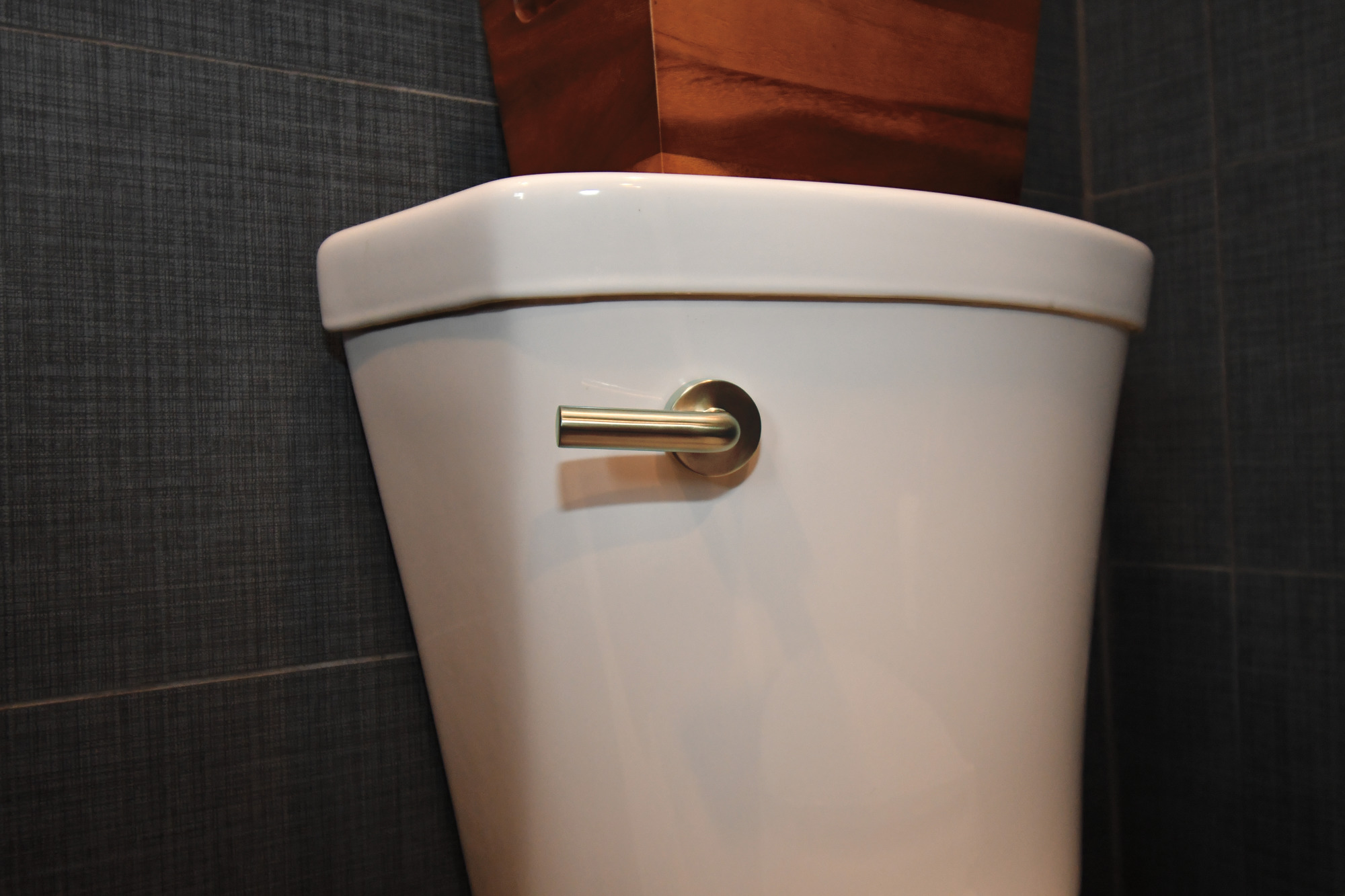 Litze® | Universal Flush Lever