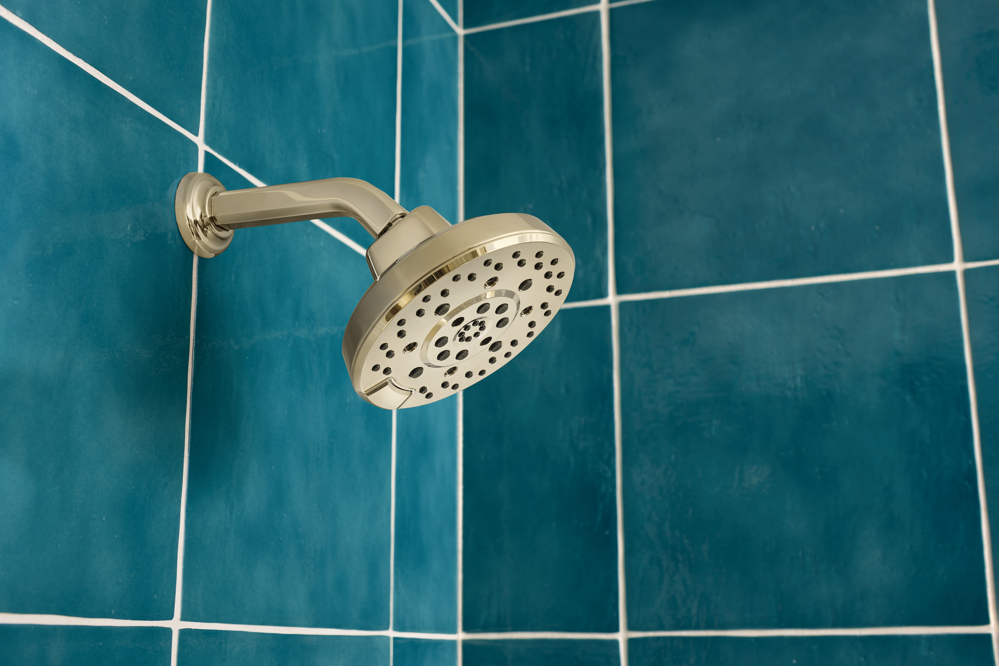 Levoir® | H2Okinetic® Round Multi-Function Showerhead