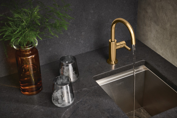 Brizo® | Beverage Faucet with Arc Spout