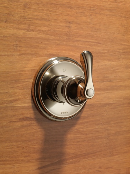 CHARLOTTE_MEDIUM_FLOW_CUSTOM_SHOWER_T60885-PN_WEB.jpg