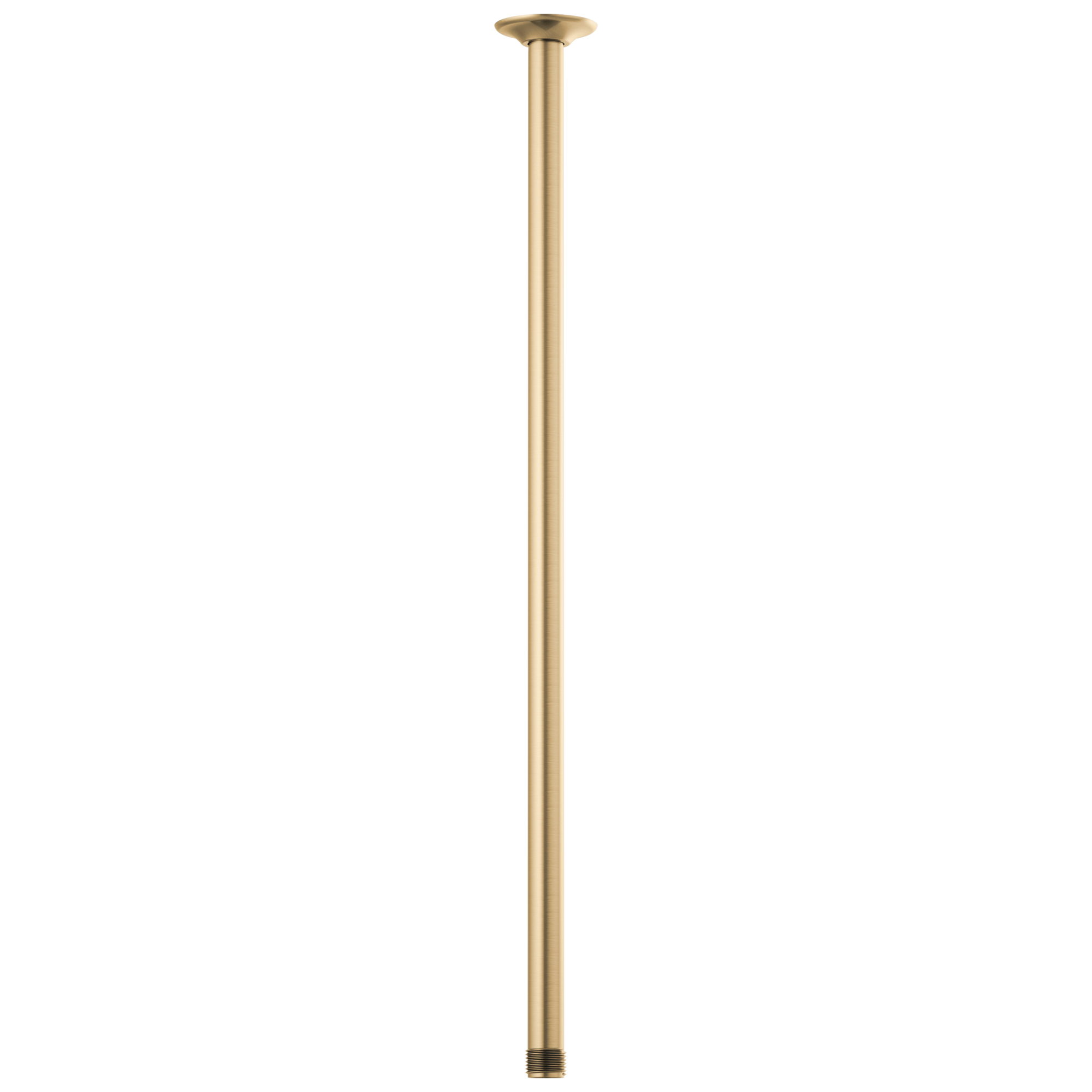 Essential™ Shower Series | 24