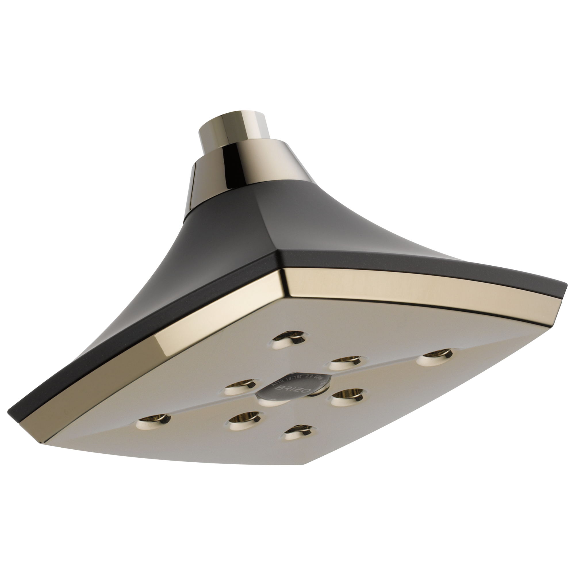 Charlotte® | RAINCAN SHOWERHEAD WITH H2OKINETIC® TECHNOLOGY