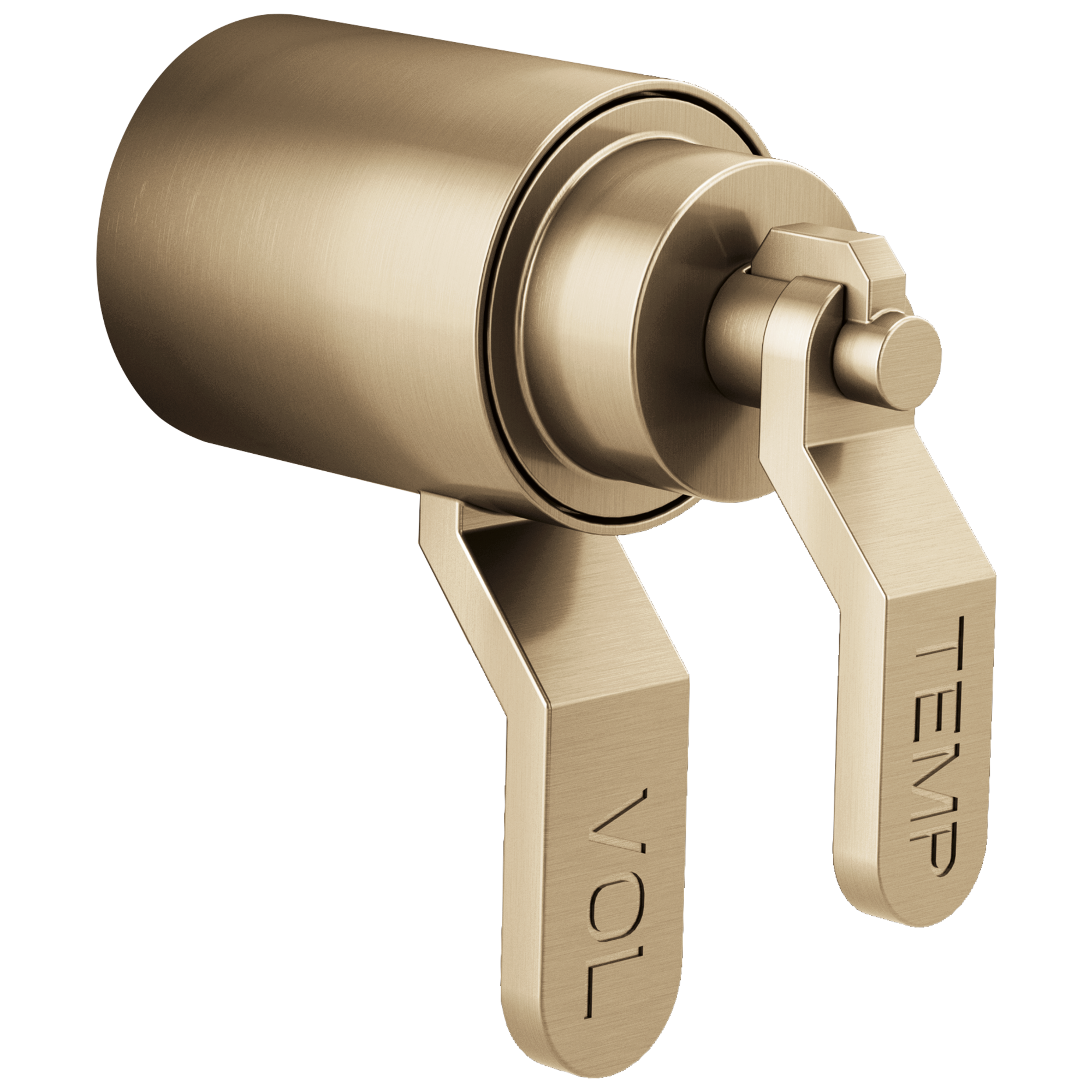 Litze® | TempAssure® Thermostatic Valve Trim Industrial Lever