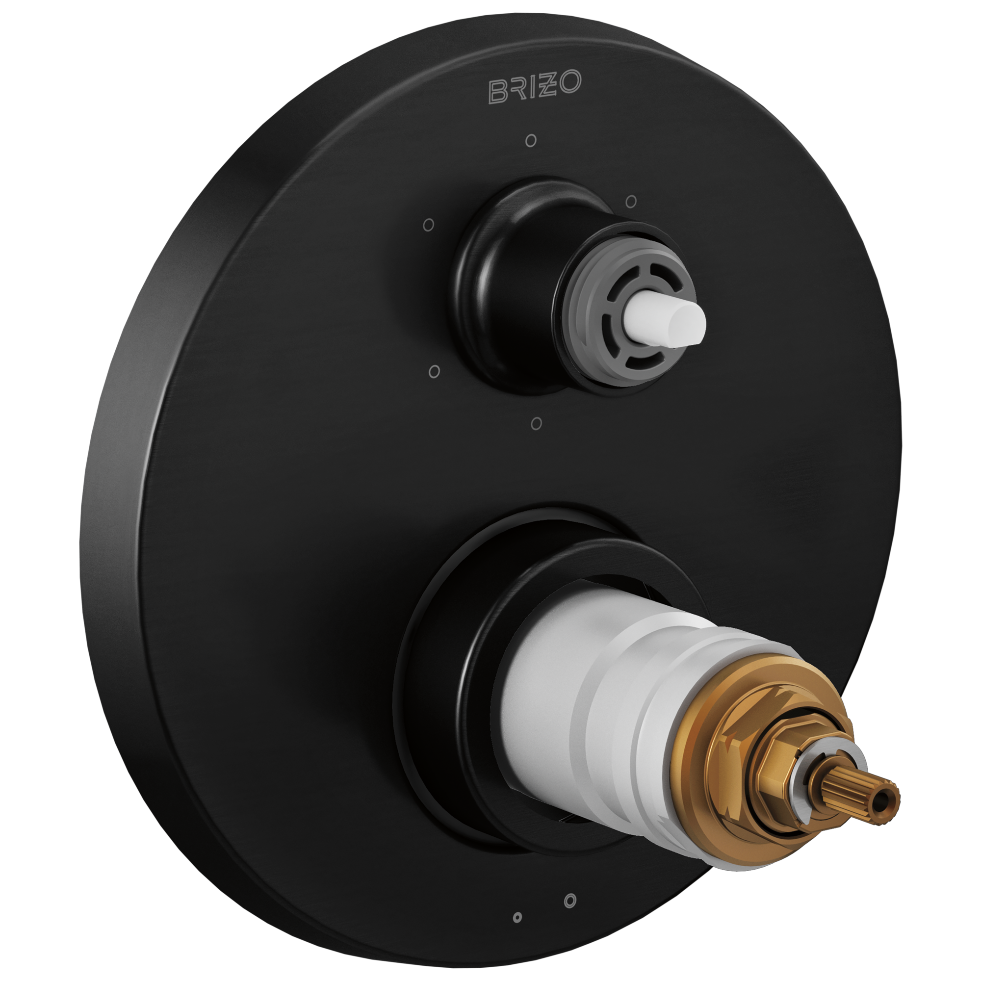Litze® | TempAssure® Thermostatic Valve with 6-Function Diverter