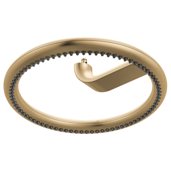 813110-GL-B1.png