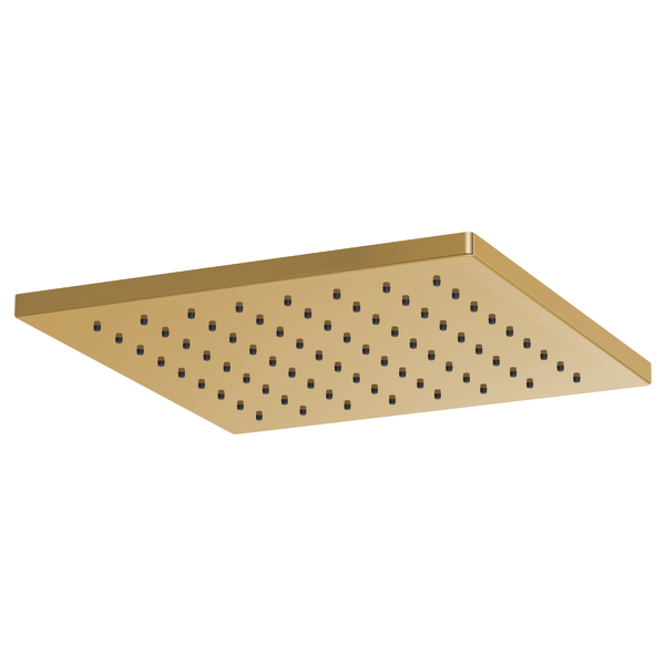 81399-PG-B1.png