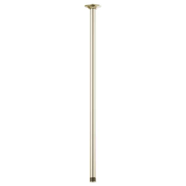 Thumbnail image of Essential™ Shower Series
