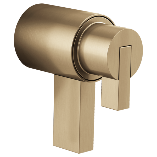 トップス HerPraha litmus Litze® | TempAssure® Thermostatic Valve Trim T-Lever Handle Kit