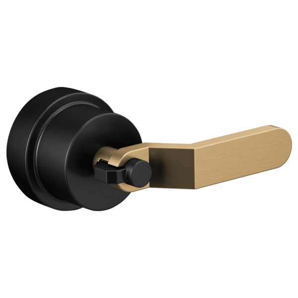 HL60P34-BLGL-B1.png