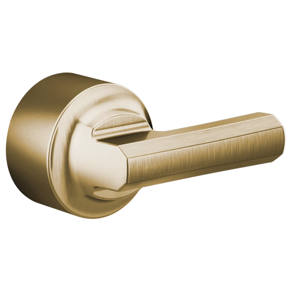 HL60P98-GL-B1.png