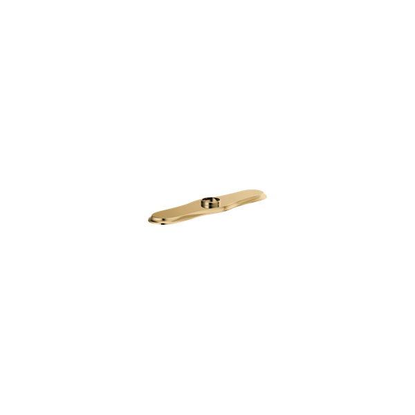 RP100299PG-B1.png