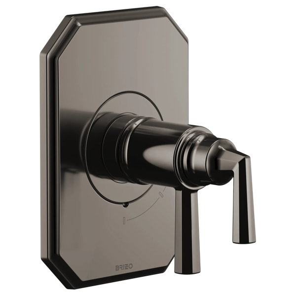 T60065-BNX-B1.png