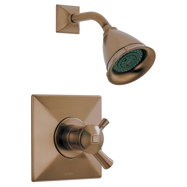T60240-BZ-B1.png