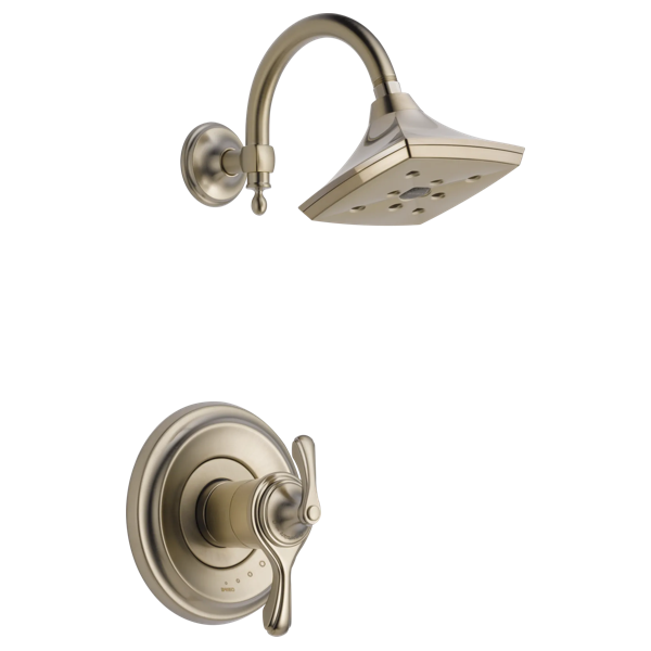 T60285-BN-B1.png