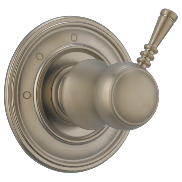 T60810-BN-B1.png