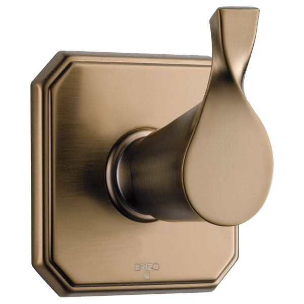 T60830-BZ-B1.png