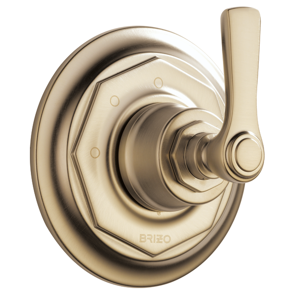 T60861-GL-B1.png