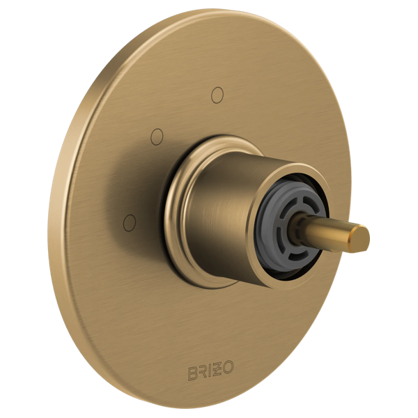 T60935-GLLHP-B1.png