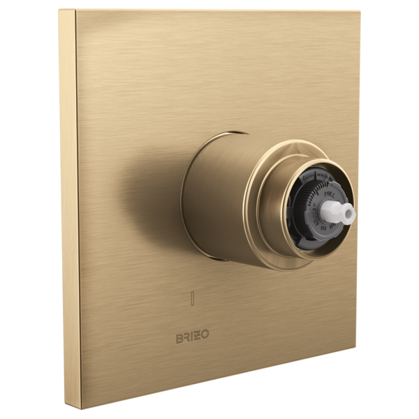 T60P022-GLLHP-B1.png