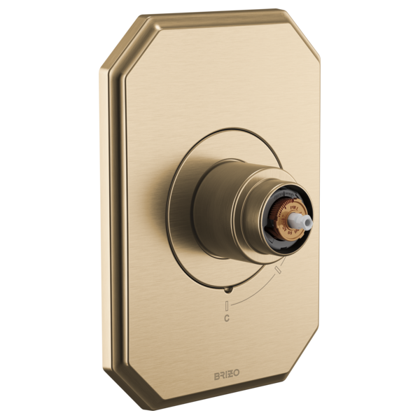 T60P065-GLLHP-B1.png