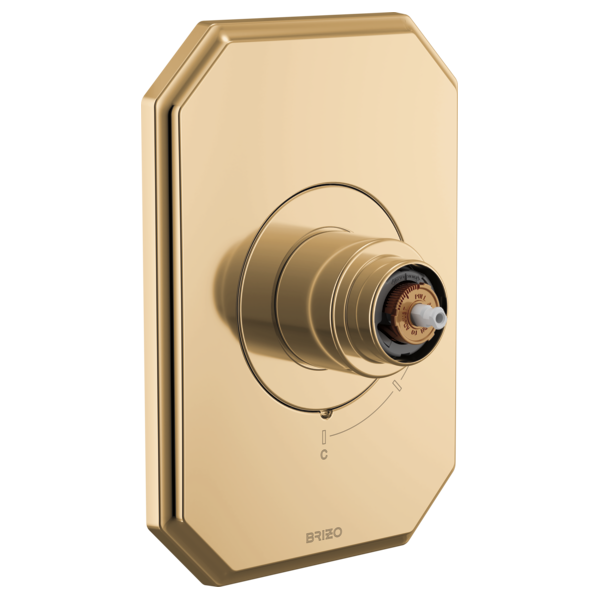 T60P065-PGLHP-B1.png