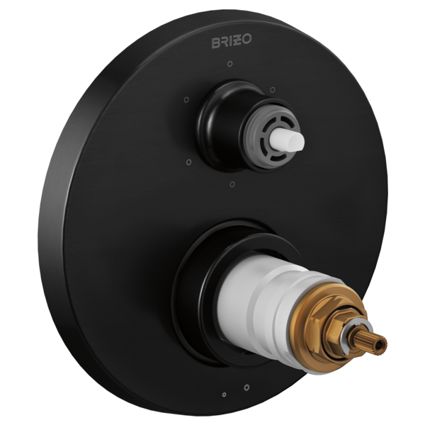 Litze® | TempAssure® Thermostatic Valve with 6-Function Diverter