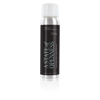 Steam Shower Accessories: Aromatherapy, Chromatherapy, Audio