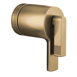 TempAssure<sup>®</sup> Thermostatic Valve Trim Lever Handle Kit