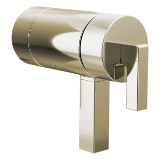TempAssure<sup>®</sup> Thermostatic Valve Lever Handle Kit