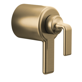TempAssure<sup>®</sup> Thermostatic Valve Trim Twist Handle Kit
