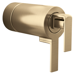 TempAssure<sup>®</sup> Thermostatic Valve Gap Lever Handle Kit