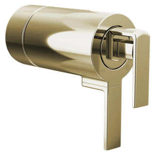 TempAssure<sup>®</sup> Thermostatic Valve Gap Lever Handle Kit