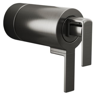 TempAssure<sup>®</sup> Thermostatic Valve Gap Lever Handle Kit