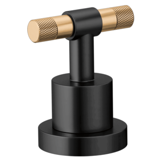Roman Tub Handle Kit - T-Lever