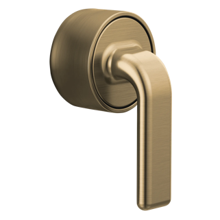 Sensori<sup>®</sup> Thermostatic Valve Trim Twist Lever Handle Kit