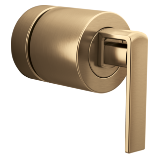 Sensori<sup>®</sup> Thermostatic Valve Trim Gap Lever Handle Kit