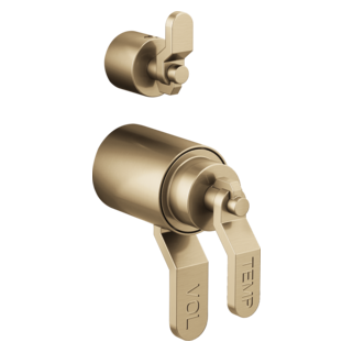 Tempassure<sup>®</sup> Thermostatic Valve With Diverter Trim Handle Kit - Industrial Lever Tempassure<sup>®</sup> Thermostatic Valve With Diverter Trim Handle Kit - Industrial Lever