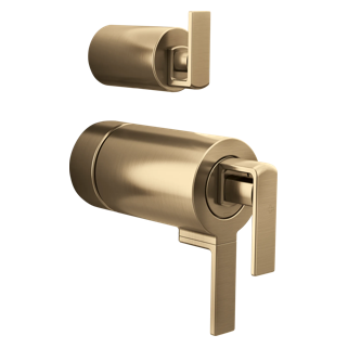TempAssure<sup>®</sup> Thermostatic Valve with Integrated Diverter Trim Gap Lever Handle Kit
