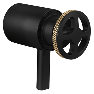 Tempassure<sup>®</sup> Thermostatic Trim Handle Kit - Wheel