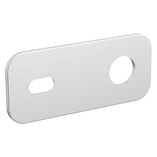 Optional Wall Plate Lavatory Escutcheon