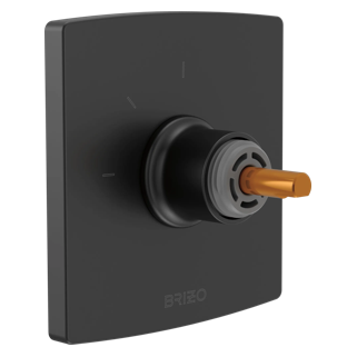 Brizo® | 3-Function Diverter Trim - Less Handle